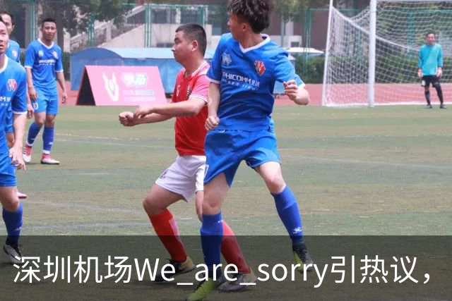 深圳机场We are sorry引热议，网友：sorry听800遍了